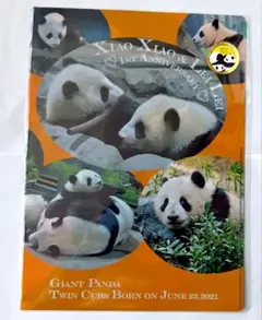 双子パンダ　シャオシャオ　レイレイ　上野動物園　クリアファイル　6枚セット Amazon | 上野動物園 双子パンダ シャオシャオ レイレイ 3ポケット 3