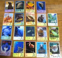 2026年最新】鳥羽水族館 70周年の人気アイテム - メルカリ