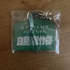 2026年最新】氣志團 キーホルダーの人気アイテム - メルカリ