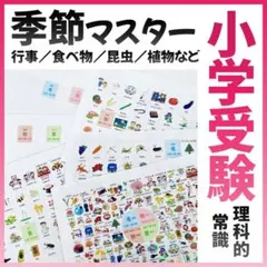 2026年最新】ジャック幼児教室の人気アイテム - メルカリ
