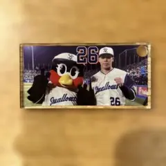 東京ヤクルトスワローズ アクリルキーホルダー 26
