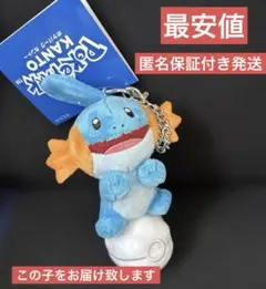 ポケパーク カントー ゼニガメ ぬいぐるみ マスコット 限定 夏グッズ