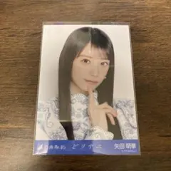 矢田萌華 乃木坂46 ビリヤニ 生写真 5枚コンプ - メルカリ