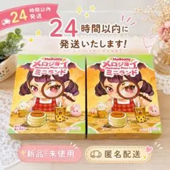 2026年最新】メロジョイミニランドの人気アイテム - メルカリ