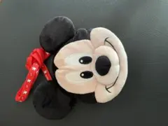 ミッキーマウス顔型　パスケース　ディズニーランド