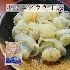 틱톡 핫상품 고급형 별미 솔티드 미니 해파리 (머리) 1kg 냉장 중국식