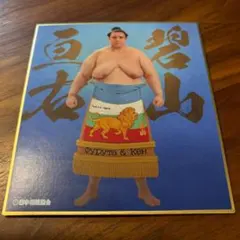 Item thumbnail for item 6bfdf41c-1261-4a70-bef3-ab55ead7a391