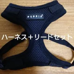 未使用品　パピア　PUPPIA ソフトハーネス Ｓサイズ ＋ リード セットのサムネイル