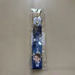 横浜DeNAベイスターズ ガチャ ボンフィン オースティン