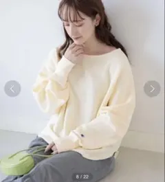 Champion × RayBEAMS 別注 ロングスリーブワッフルプルオーバー