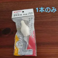 Item thumbnail for item a3de2b55-e964-4f4a-a838-541d053b6663