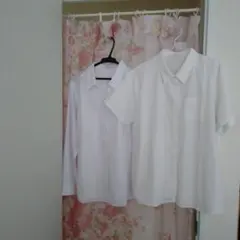 ハニーズ　シャツ　３Ｌ