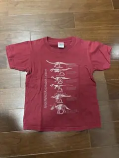 福井県立恐竜博物館 Tシャツ 130cm ボルドー