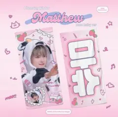 バラ売り⭕️ ゼベワン メテュ マシュー スローガン うちわ24点まとめ売り 2026年最新】メテュ スローガンの人気アイテム - メルカリ