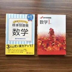 数学 問題集 中1