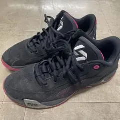 Air Jordan Luka 77 ブラック ピンク31cm