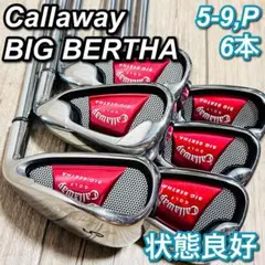 名器】グレートビックバーサ☆マジカルアッタス値引きなし！