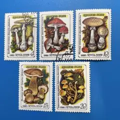 ぽっぽん様 リクエスト 2点 まとめ商品