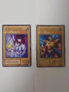 遊戯王カード 月明かりの乙女 アックス・レイダー