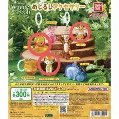 Winnie the Pooh めじるしアクセサリー 3点セット くまのプーさん
