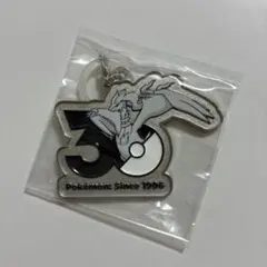 ポケモン 30周年 メタルチャームマスコット 〜シンオウ、イッシュ、カロス〜