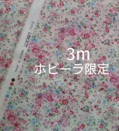 【TM】テイタム　縮小ホビーラホビーレ限定 3m