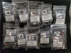 海洋堂チョコラザウルス シリーズ1、バージョン2