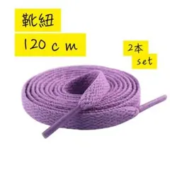 靴紐2本 スニーカー ライトパープル シューレース 平紐 靴ひも 120cm