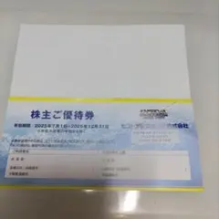 セントラルスポーツクラブ　株主優待券2枚セット