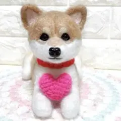 羊毛フェルト ロングコートチワワ(柴犬カット) - メルカリ