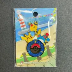 2025年最新】ポケモンセンタートウキョーベイ ロゴピンズの人気