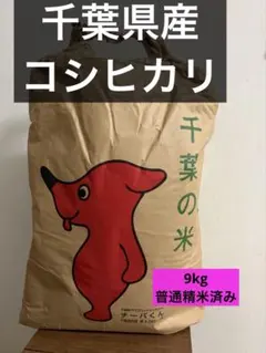 コシヒカリ千葉県産9kg 令和7年産　普通精米済みのサムネイル