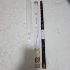 Item thumbnail for item aa2e32d7-5b0d-4fa0-9fe1-a231e92b913c