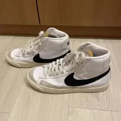 Item thumbnail for item 8b176cb0-ce24-45fd-b34d-7072669c7afd