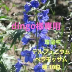 dingo様 リクエスト 4点 まとめ商品