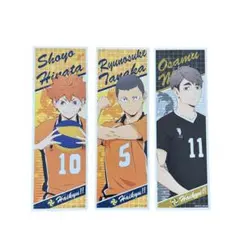 ハイキュー‼︎ ロングステッカー 日向翔陽、田中龍之介、宮治