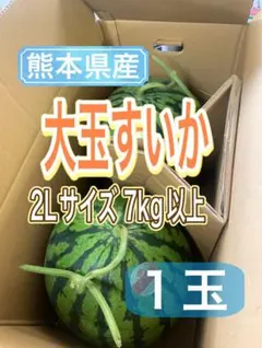熊本県産 祭りばやし 11kg台 大玉スイカ - メルカリ
