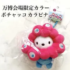 ポチャッコ　カラビナ　ぬいぐるみ　万博　サンリオ　マスコット　expo 2025 ポチャッコ カラビナ ぬいぐるみ 万博 サンリオexpo 2025