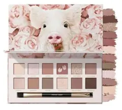 PERFECT DIARY アイシャドウパレット