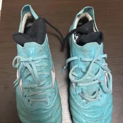 Morelia Neo 3β モレリアネオ3βのサムネイル
