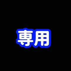 専用出品