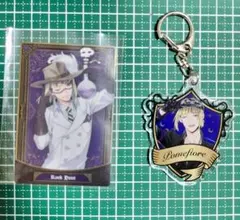 ツイステッドワンダーランド　ルーク・ハント　アクリルキーホルダー　トレカ