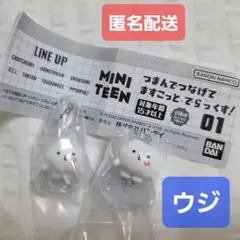 【ウジ2個セット】 MINITEEN つまんでつなげてますこっと セブチ