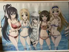 C84 インフィニット・ストラトス ヒロイン5人描き下ろし水着B2タペストリー