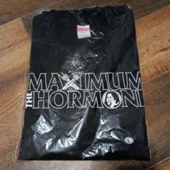 2025年最新】マキシマムザホルモン tシャツ 生還者の人気