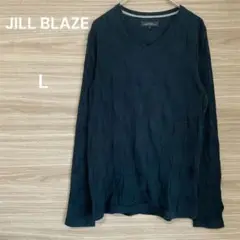 JILL BLAZE 【L】 ブラック　Vネック　長袖カットソー 織り柄