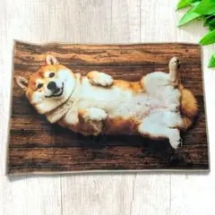 【新品】柴犬 デザインマット マルチマット 犬ラグ 玄関マット