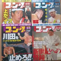 別冊ゴング 2016年 プロレス雑誌 新日本プロレス - メルカリ