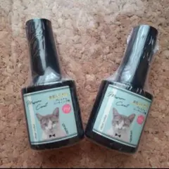 Item thumbnail for item e442a50a-f234-47ba-8c3c-bac54fa76838