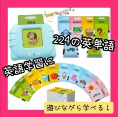 フラッシュカード　リスニング　英単語　英語　発音　水色　知育玩具　学習　発声のサムネイル